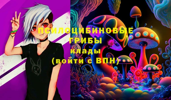 тгк Балахна