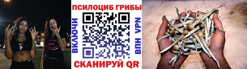 Галлюциногенные грибы GOLDEN TEACHER  Купить где  Гуково 